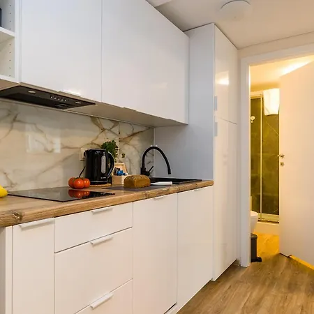 Shortstaypoland Batorego Appartement